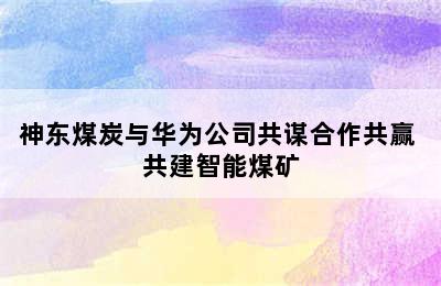 神东煤炭与华为公司共谋合作共赢 共建智能煤矿